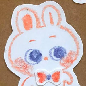 Meet your Posher, Cecilia